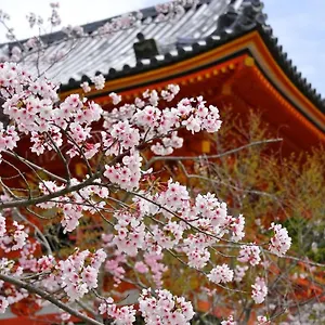 3* Aparthotel Sakura Gion North